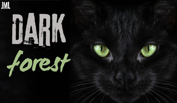 Dark forest |chapter three|