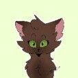 Kawowa_Gwiazda
