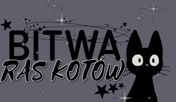 Bitwa ras kotów! cz. 2
