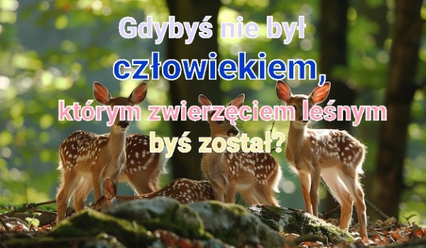 Gdybyś nie był człowiekiem, którym zwierzęciem leśnym byś został?