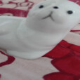 aaaaaaaaameno