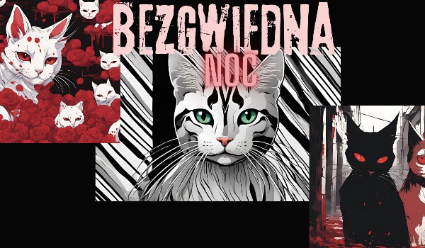 BezgwiezdnaNoc. Rozdział 2, Ciężki Trening