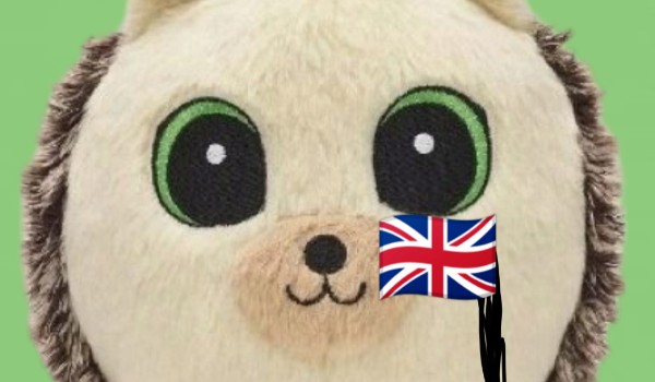 Lekcja 3 – Język Angielski z Jeżykiem