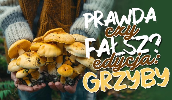 Prawda czy fałsz? Edycja: grzyby