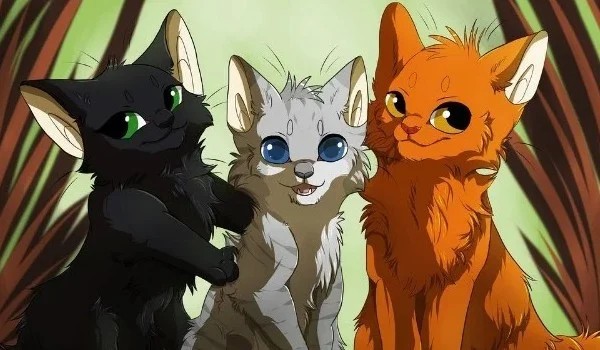 Wojownicy kogo wolisz