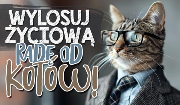 Wylosuj życiową radę od kotów!