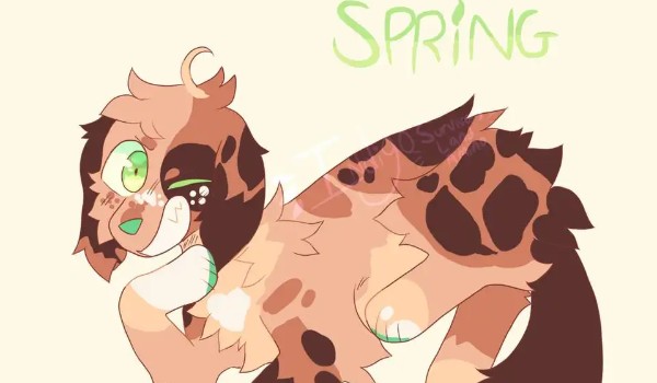 bitwa okładek runda 2