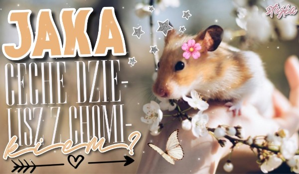 Jaką cechę dzielisz z chomikiem?