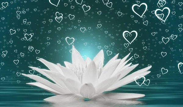 Sprawdź czy jesteś debilem