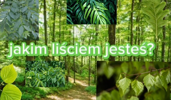 Jakim liściem jesteś?