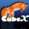Cubexyt15