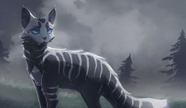 W jakiej roli umrzesz w wojownikach?