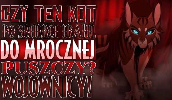 Czy ten kot po śmierci trafił do Mrocznej Puszczy? – Wojownicy!