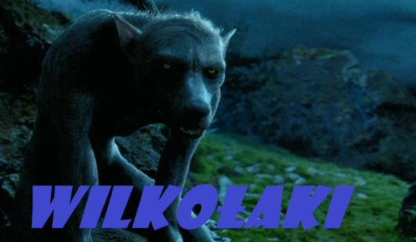 Wilkołaki |Prolog|