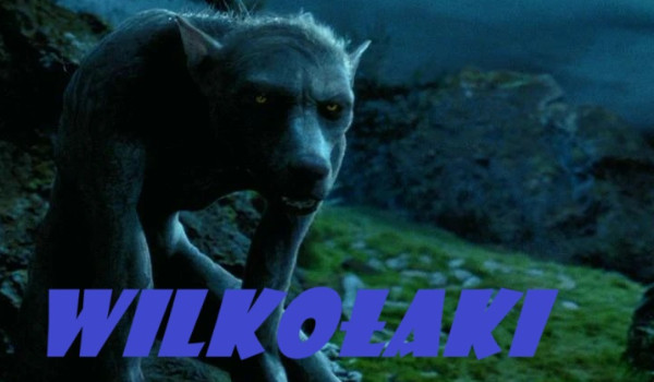 Wilkołaki|Chapter 2|