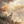 anonimowa_209