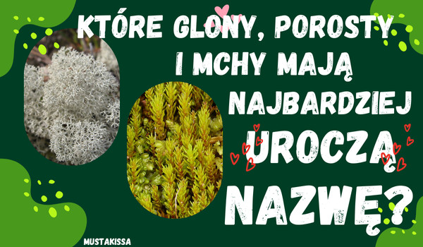 Które glony, porosty i mchy mają najbardziej urocze nazwy?