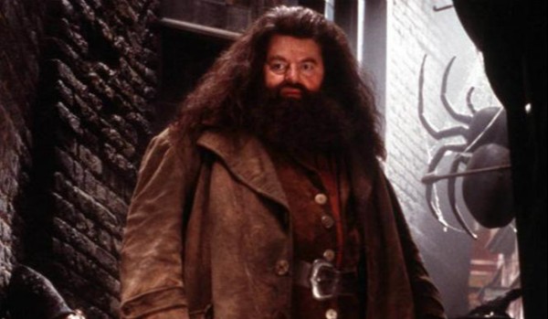 Harry Potter: SUMy opieka nad magicznymi stworzeniami