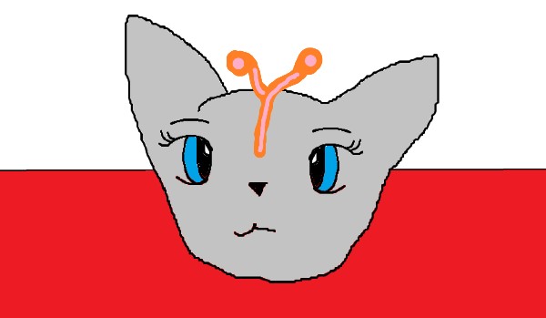 jakim zwierzenciem jestes