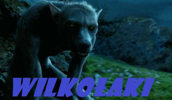 Wilkołaki|Chapter 3|