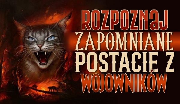 Rozpoznaj zapomniane postacie z „Wojowników”!