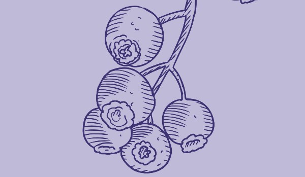 Jakim smoothie jesteś?