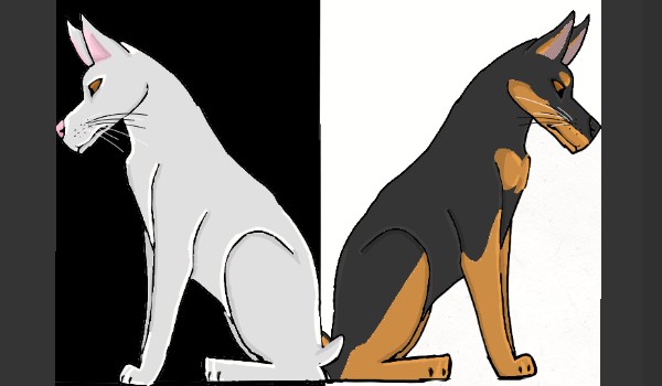 Biały i czarny doberman – 1