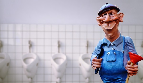 Jaką jesteś kostką do WC?