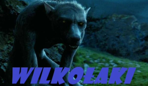 Wilkołaki|Chapter 5|