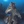 Furia444