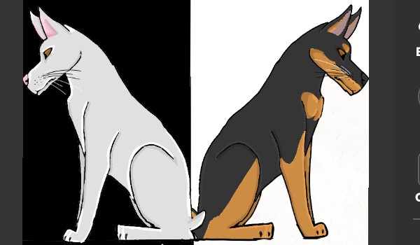 Biały i czarny doberman – 2