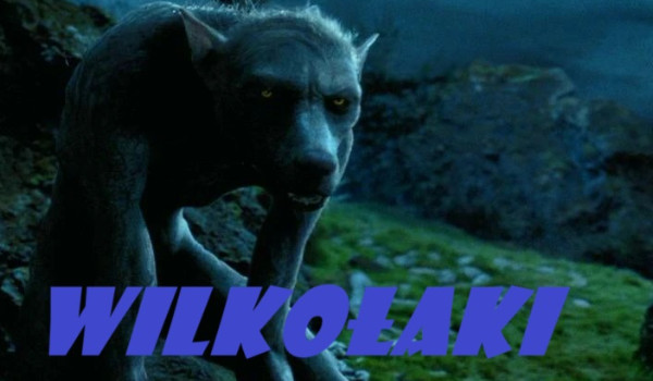 Wilkołaki|Chapter 6|