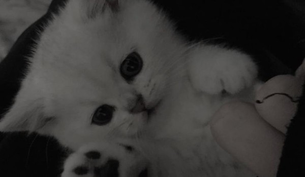 “I Can’t die because of you, but you still hate me. Chapter 1 Part 3.”