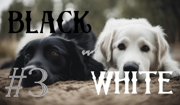 Black and White #Chapter 3