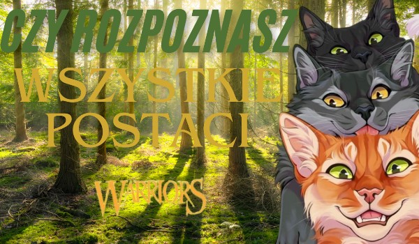 Czy rozpoznasz wszystkie postaci z Wojownicy?