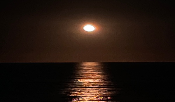 Dobre wychowanie, maniery