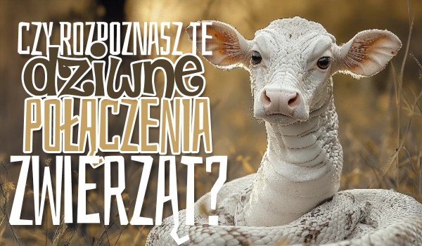 Czy rozpoznasz te dziwne połączenia zwierząt?