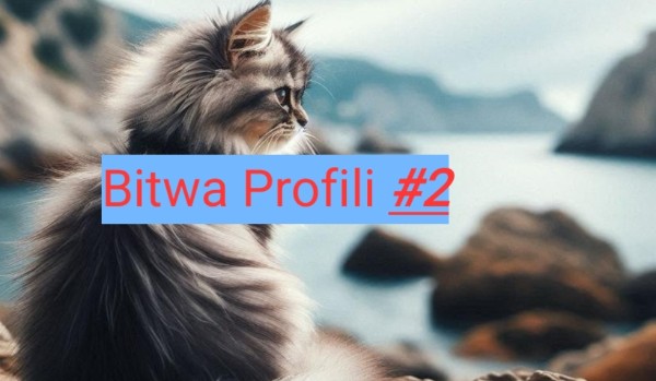 Bitwa profili #2