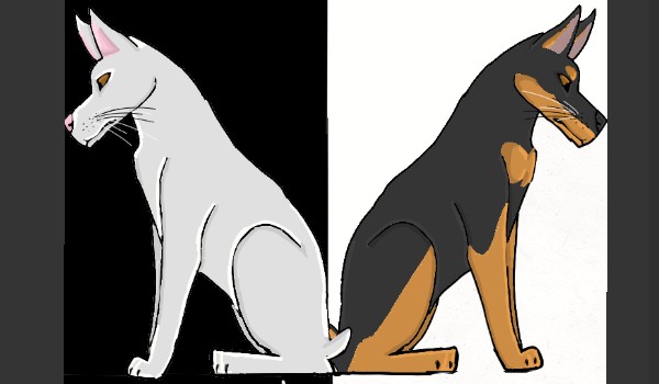 Biały i czarny doberman – 3