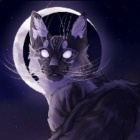 Misty_eye