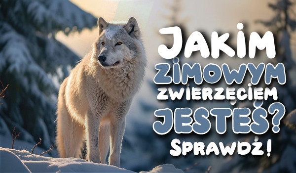 Jakim zimowym zwierzęciem jesteś?