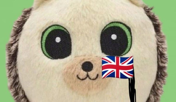 Lekcja 7 – Język Angielski z Jeżykiem