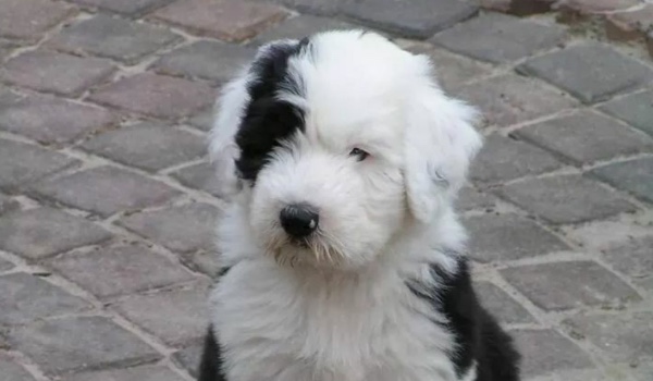 Bitwa waszych nazw na Sq! #5 (finał)