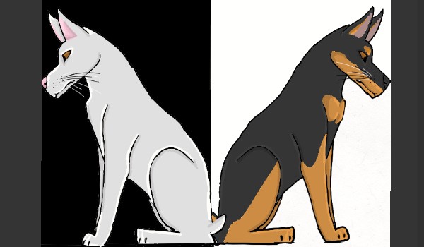 Biały i czarny doberman – 4