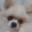 Smykusiowy2023