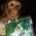 Mieszany_mieszany_pan
