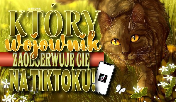 Który Wojownik zaobserwuje Cię na TikToku?