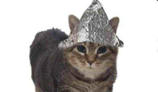 zarządzanie projektem