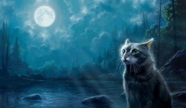 Wojownicy Podpisz to miejsce