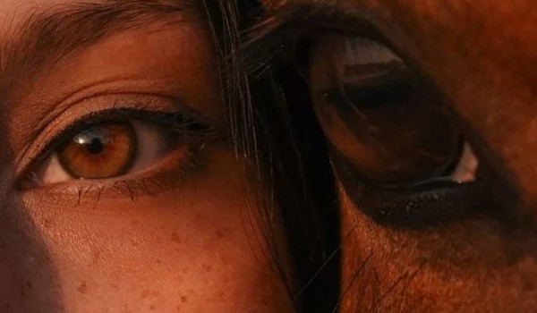 Najlepszy koń wszechświata- Olimpia